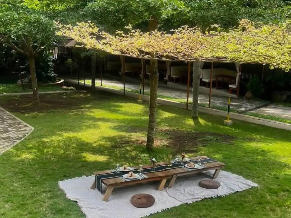 A low picnic table with floor cushions on a mat, in the shade of a tree on the lawn.